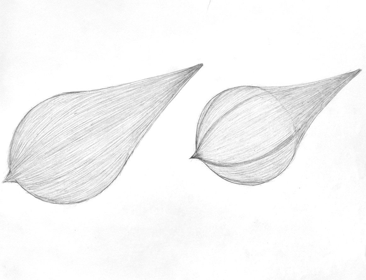 Pencil artwork 45